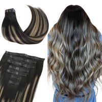 #1B/19/1B Balayage Natural Black to Light Blonde