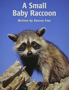 USED-Ready Readers, Stage 2, Book 42, a Small Baby Raccoon, Single Copy by Hiebert, Elfrieda H. Juel (Paperback)