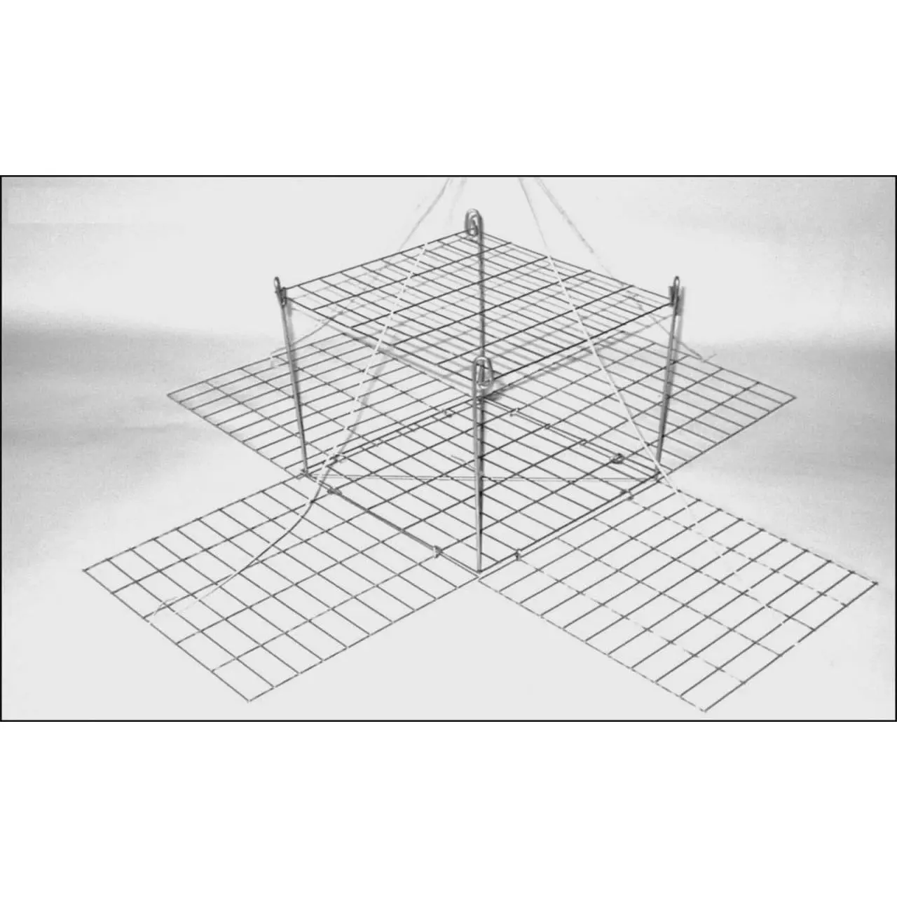 Foxy Mate Crab Traps