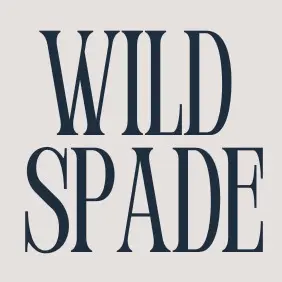 background preload poster image 