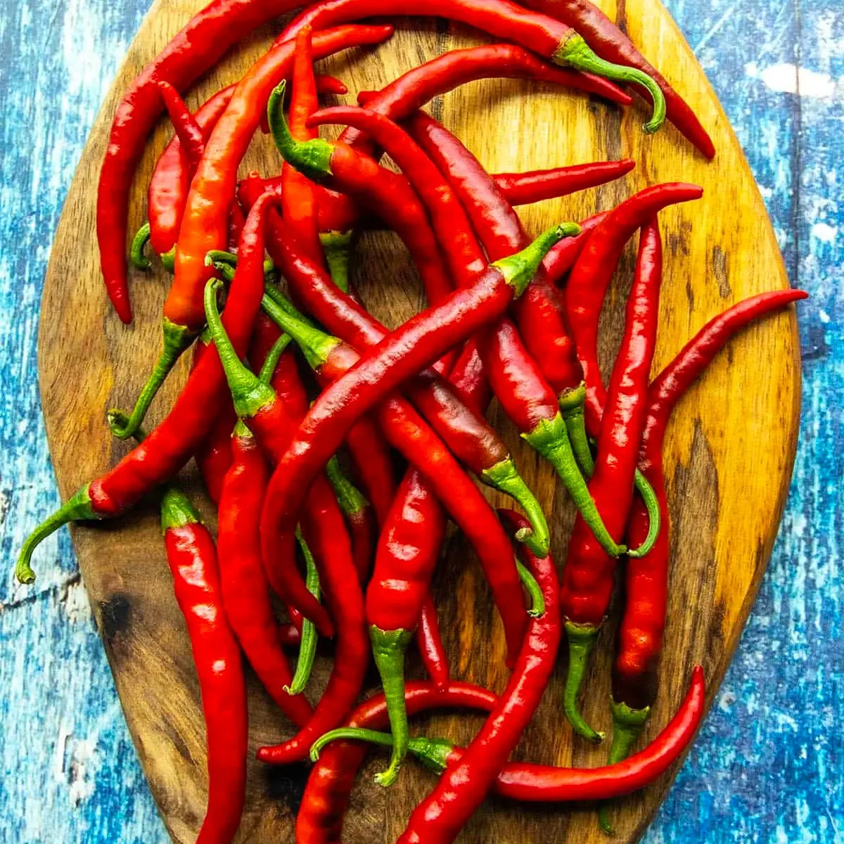 Cayenne