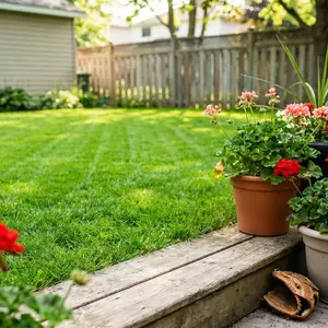 20000+ Fast Growing Green Grass Seeds for Lawn Home Garden Quality Lawn Care