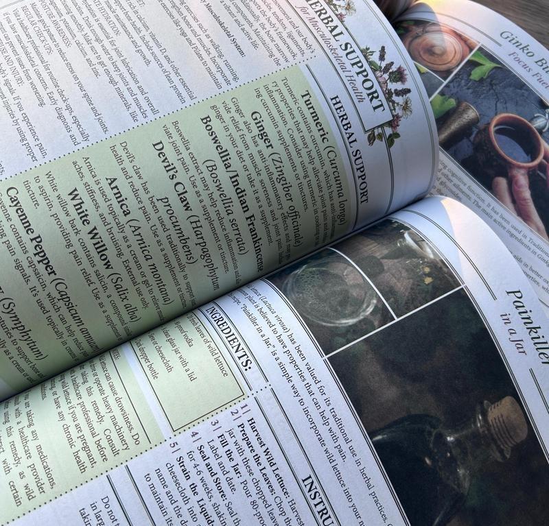 2026 Complete Home Natural Therapy Set: 250 powerful therapies at your fingertips, holistic health and self-care, including the preparation of tinctures, infusions, decoctions, plasters, teas, and patches.