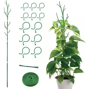 Stackable Monstera  Support Stakes, Trellis for Indoor Climbing , Tree Branch Shape Modular  Support Pole for Monstera, Pothos, Ivy - Green (52inch)