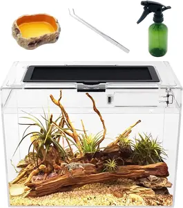 Reptile Growth Mini Reptile Terrarium," x "x " Reptile Tank with Full View Visually Appealing,for Insect,Fish,Tarantula,Hermit crab,Jumping spider,Iguana,Tortoise,Leopard Gecko,Frog,Bearded dragon