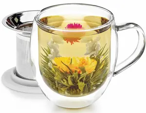 VENICE Double Wall Glass Mug with Infuser & Lid/Coaster