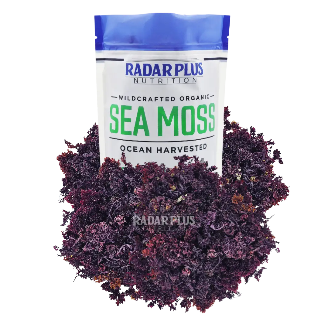 Purple Sea Moss Organic Wildcrated - Eucheuma Cottonii species from St Lucia - 4...