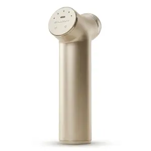 Quadthera Titan Champagne Ultrasound Beauty Device for Smooth Radiant Skin - At-Home Skincare Tool with Titanium Head & Quick-Use Functionality
