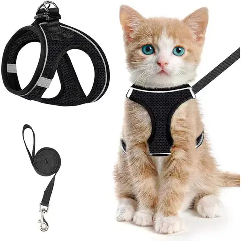 Escape Proof Cat Harness Leash Combo (6-29 lbs) - Durable Reflective, Waterproof Solid Adjustable Design Vest, Soft Mesh, Detachable, Kitten Harness, Hand Wash Only, Collars and Leads for Safe Walks (Suitable for Small Dogs)