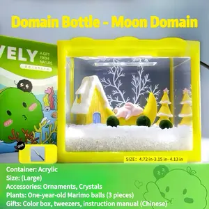 Glowing Live Aquatic Plant Decor - Serene Large Realm Bottle Micro-Landscape, Self-Sustaining Aquatic Garden & Peninsula Ecosystem, Adorable Marimo Habitat, DIY Mini Closed Terrarium for Calm Spaces (Includes 3 Live Marimo Pets)
