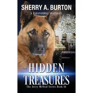 Hidden Treasures: Book 16 in The Jerry McNeal series (A Paranormal Snapshot) Paperback – August 26, 2024