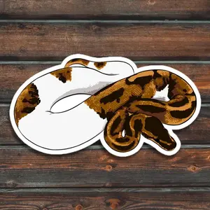 Pied Ball Python Sticker, Snake Sticker, Waterproof Pet Ball Python Sticker