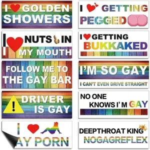 Funny Magnet Bumper Sticker, Rainbow Prank Magnetic Sign for Vehicle Truck Reusable Magnet Sticker for Fridge(10 Styles)