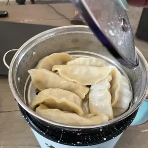 VEGAS Steam and Cooking Pot Ramen Pot Multifunction 18cm Colors May Vary