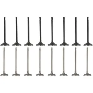 WFLNHB Intake Air-out Engine Valves Replacement for GM 2.0L 2.2L 2.4L Ecotec DOHC