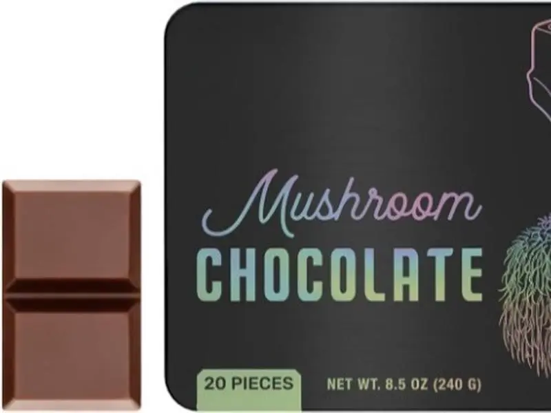 Functional Mushroom Chocolate – Mushroom Supplement with Lion’s Mane, Reishi, Cordyceps, Chaga, Maitake & Turkey Tail | for Energy, Focus, Cognition & Mood | Vegan, 20 Pieces