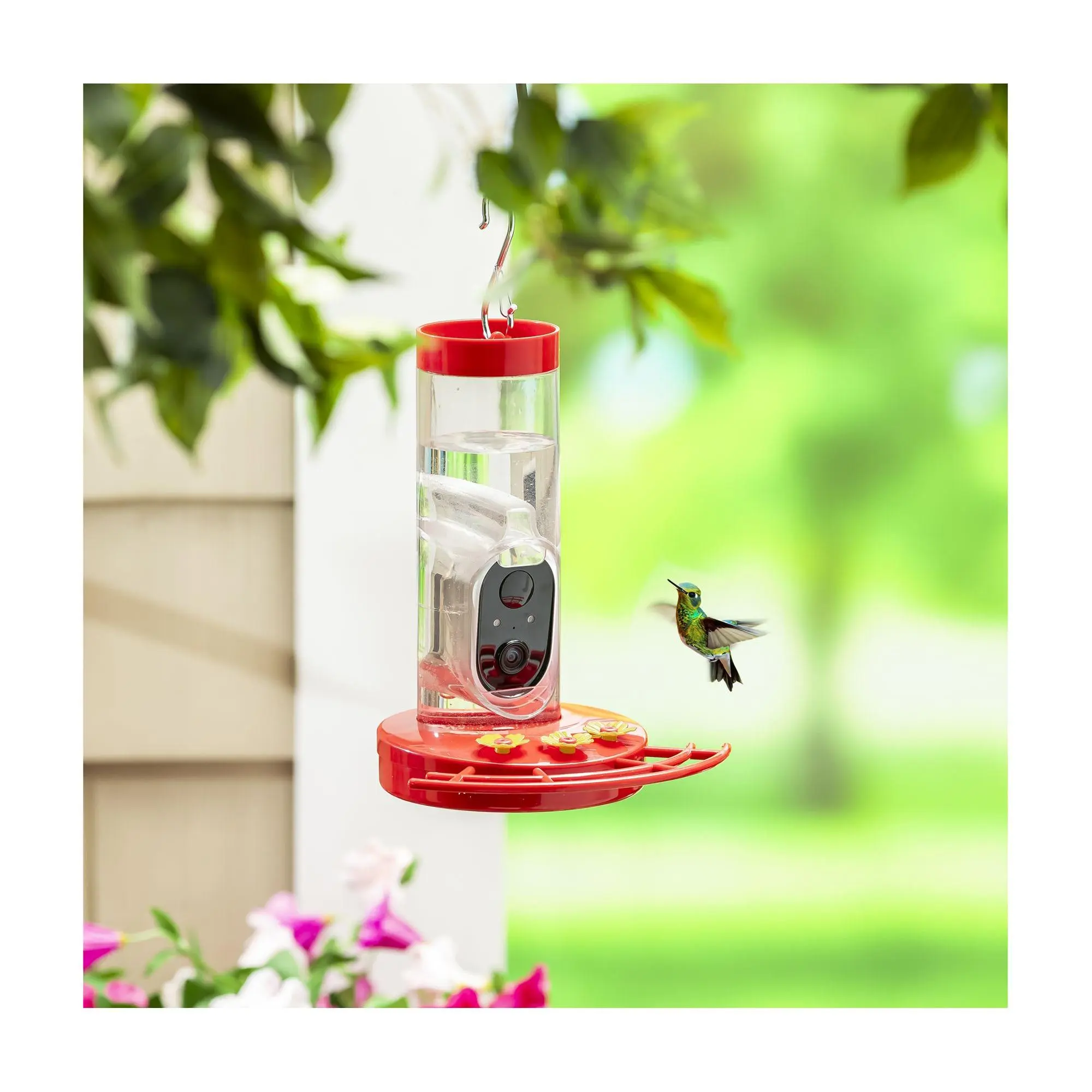 Evergreen LED Smart Hummingbird Feeder with Camera Evergreen LED Smart Hummingbird Feeder with Camera