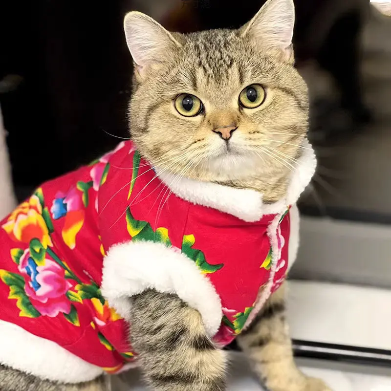 Warm Cat Clothes Festive Floral Cotton Coat Winter New Year Outfit for Kittens Pet Dog Tang Suit Warm Cat Clothes Festive Floral Cotton Coat Winter New Year Outfit for Kittens Pet Dog Tang Suit