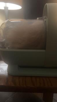 product review image from Taylar Houston 2