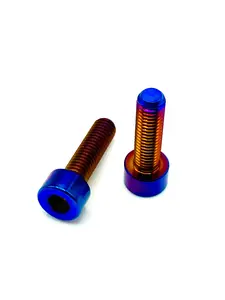 Titanium Brake Clamp Bolts - Surron | Talaria | E-Ride Pro | Altis | Rawr | 79 Bike | Ventus