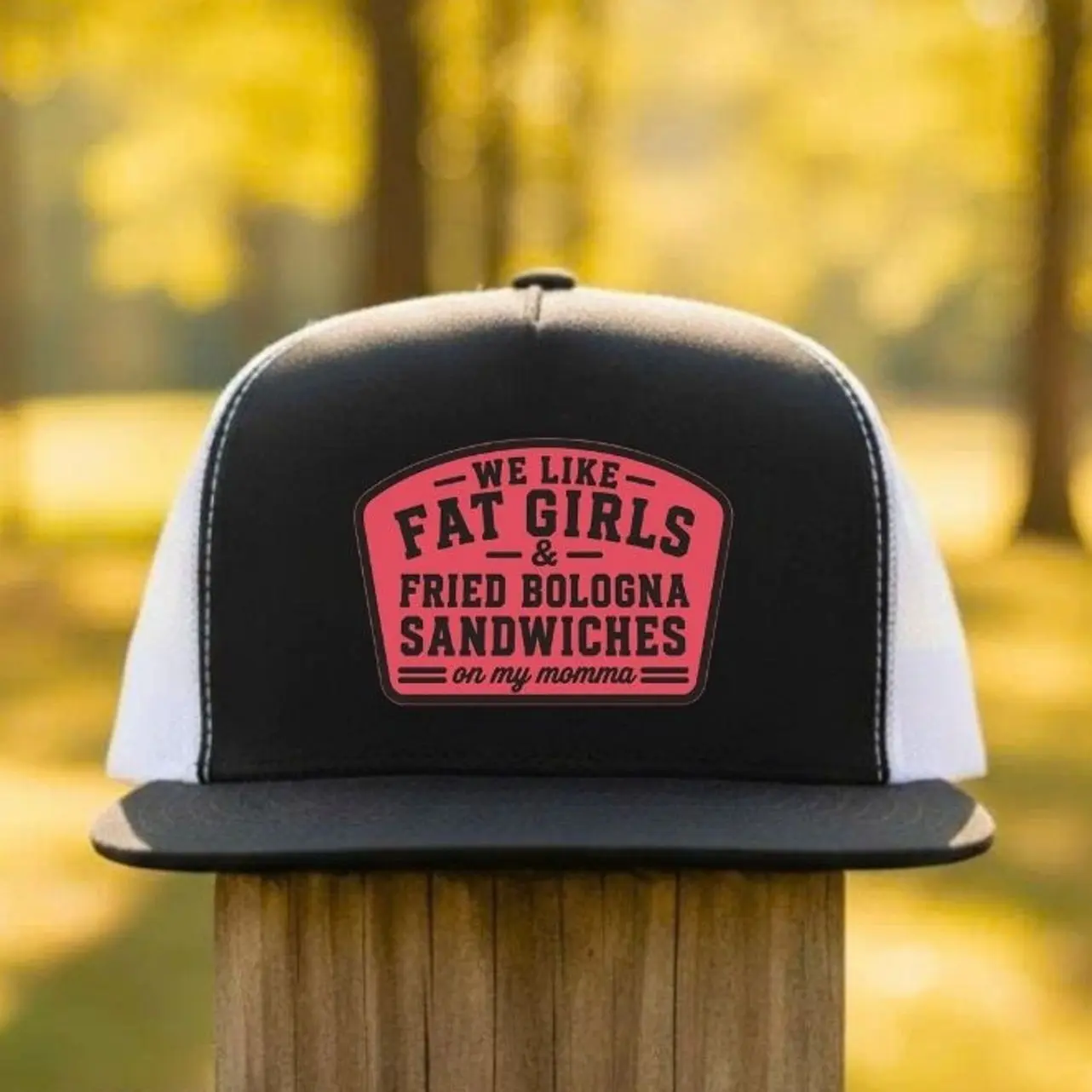 We Like Fat Girls & Fried Bologna Sandwiches Embroidered Trucker Hat, Funny Southern Snapback Cap, Vintage Mesh Baseball Hat
