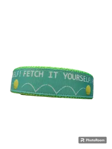 Fetch It Yourself! Neon Green Nylon Dog Collar MD, LG, XL, Leash