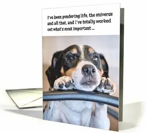 Birthday Card - Humorous Dog Pondering Life card