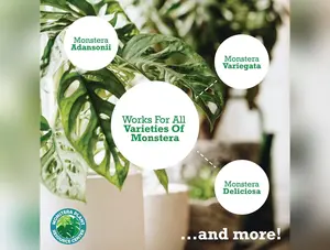 Monstera Plant Food by Houseplant Resource Center | Premium Liquid Fertilizer (5-2-3 NPK) - Ideal for Monstera, Pothos, and Snake Plants (8 Fluid Ounces) by Houseplant Resource Center