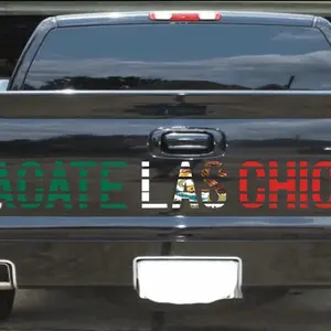 Sacate Las Chichis Decal - Oracal 651 Permanent Vinyl - Easy Install - 10 Year Lifespan - Wet/Dry Application - Customizable Colors money decal