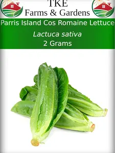 Parris Island Cos Romaine Lettuce Seeds for Planting, 2 Grams, 2000+ Heirloom Non-GMO Romaine Seeds, Ideal for Outdoors & Hydroponics, Instructions Included, Qty 1