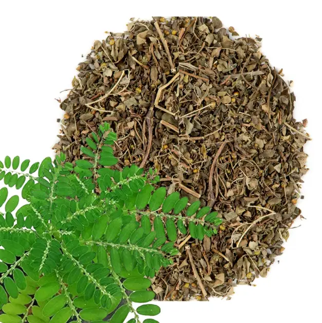 Certified Organic Chanca Piedra Loose Leaf Herbal Tea - Dried Phyllanthus Niruri Blend, Caffeine-Free Bitter Earthy Infusion, 200g Re-Sealable Bag for Hot/Iced Brewing (Not Capsule, Extract, or Powder)