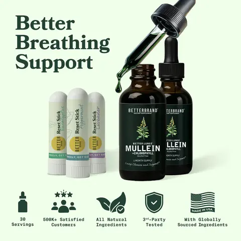 Betterbrand Breathing Support Bundle | Nasal Reset Sticks & (2) Mullein and Chlorophyll Tinctures Bundle to Quit Bad Habits | Lung Detox and Cessation Bundle