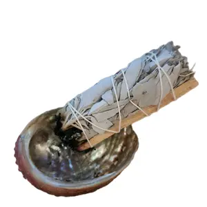 4"White Sage/ Palo Santo bundle smudge set With Natural Abalone Shell
