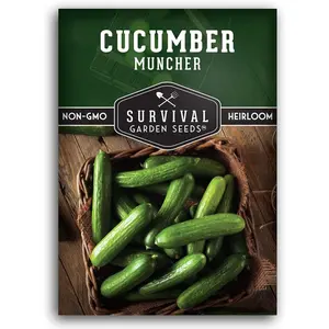 Survival Garden Seeds 1 Pack Muncher Cucumber Seeds for Planting – Seed Packet with Instructions to Grow Burpless Slicing Cucumbers in Your Home Vegetable Garden - Non-GMO Heirloom Variety