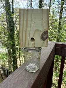 Carpenter Bee Trap – Chemical-Free Pest Control Made from Pressure-Treated Southern Yellow Pine
