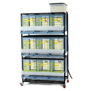 Chicken Cage - 3 Layer H: 15" - 3-Layer Chicken Cage (15" Height) for Secure and Spacious Housing