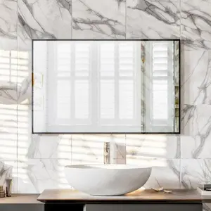 Eviva Aureline 24" x 30" Rectangular Black Stainless Steel Framed Mirror