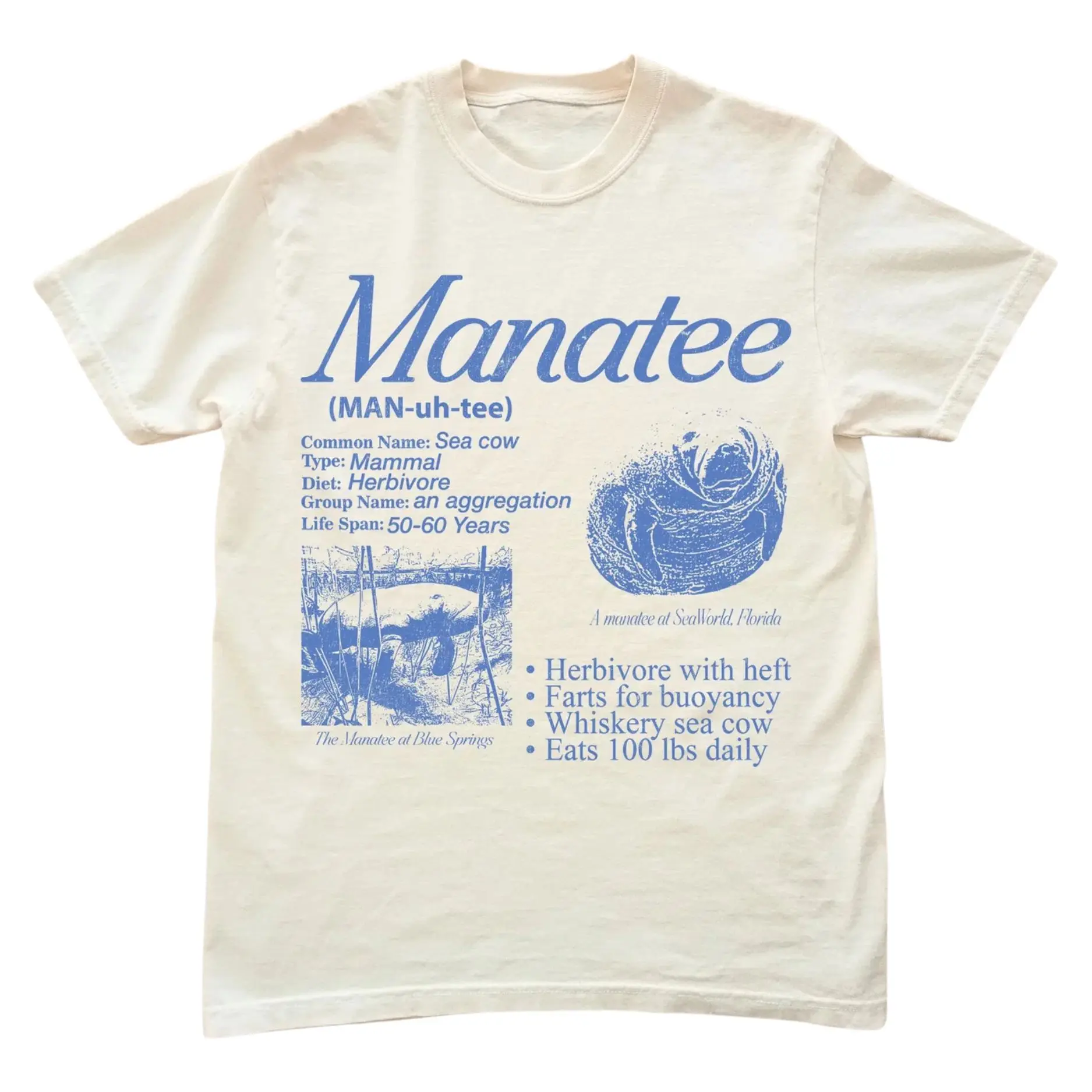 Manatee Vintage 90s Graphic T-Shirt, Retro Sea Cow Facts Info Tee, Funny Ocean Biology Shirt, Marine Science Graphic Tee, Unisex cotton tee, Animal Gift