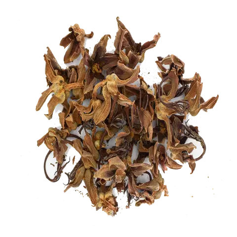 Flor de Manita (Mexican Hand Tree) Tea - Traditional Medicinal Herb for Calm & Wellness | 2oz