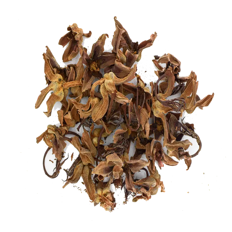 Flor de Manita (Mexican Hand Tree) Tea - Traditional Medicinal Herb for Calm & Wellness | 2oz