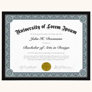 Diploma Frame | Thin Border | Shatter-Resistant Glass | Certificate Display