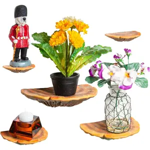 Wiosi 5-Piece Turkey Gill Mushroom Floating Shelves for Decorating Wall| Shelves for Room Wall| Perfect Floating Shelves for Room Decor| Leopard Gecko Tank Accessories