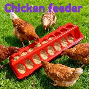 Chicken Feeder Multi-Pore Food Box, Poultry Feed Dispenser, Anti-Scrambling Chicken Slot, Farming Supplies, Chicks & Quail Feeders, Chicken Feeder For Birds