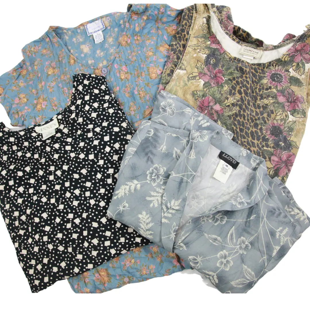 Women's Plus Size Dress Mix Of 10