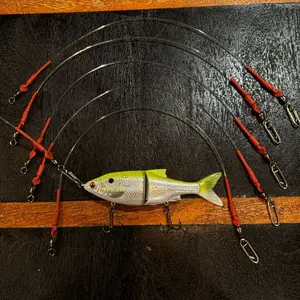 Fishing Rigs / Leaders - Durable Fishing leaders with Silver Clips for Enhanced Performance NOTE: LURE ONLY FOR DISPLAY
