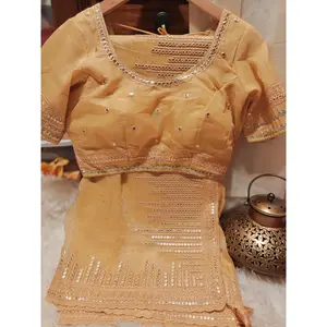 Party Wear Saree with Stitched Blouse