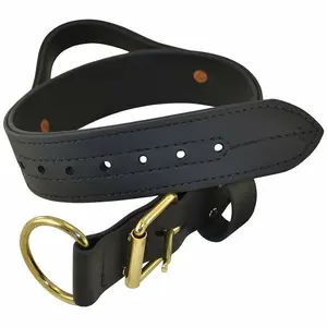 Ray Allen 2" Double-Layer Biothane Collar – Waterproof Handle Collar