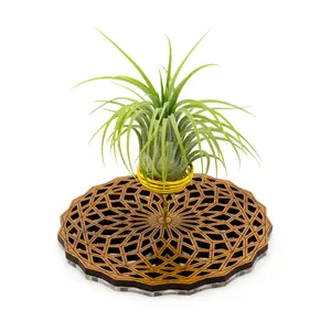 Wire Air Plant Holder 8 - Unique Plant Display Stand // Geometric Modern Wood Home Decor Table Shelf Desk Plant Lover Gift Idea