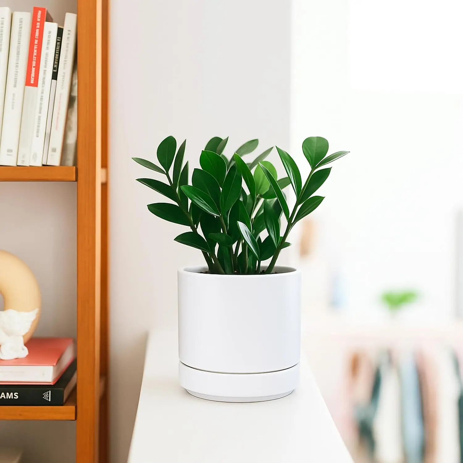 White Ceramic Planter