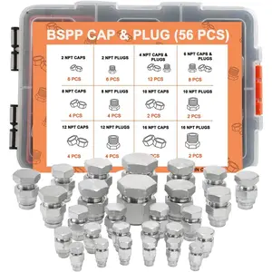 56 Pcs BSPP Plug Kit Hose Tube and Pipe Set Hydraulic Plug Kit Galvanized 45 #         Steel with Precision Threading Dash Sizes-02-04 -06-08-12-16